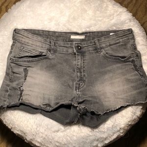 Jean Shorts Distressed•